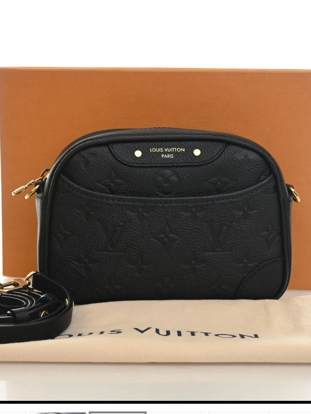 LOUIS VUITTON MONOGRAM EMPREINTE TINY CAMERA BAG